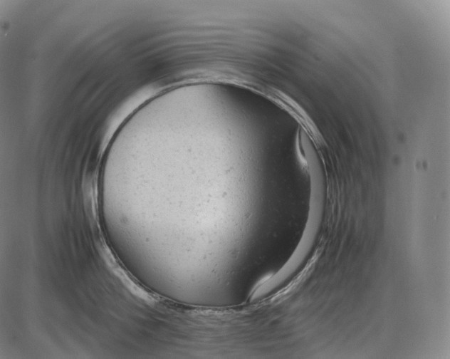 X0000085010812200703261153