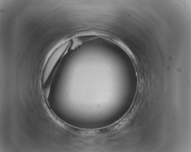 X0000085010813200703261153