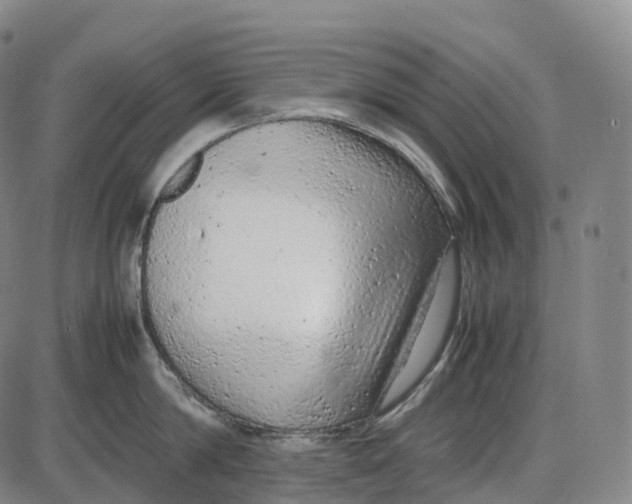 X0000085010814200703261153