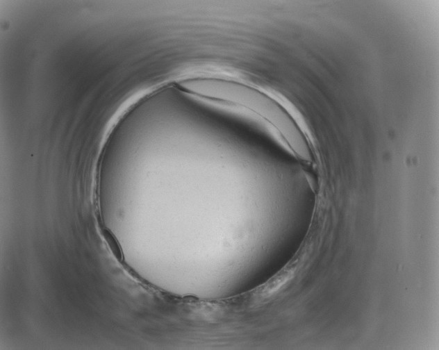 X0000085010815200703261153