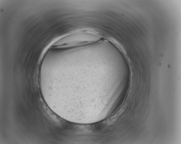 X0000085010816200703261153