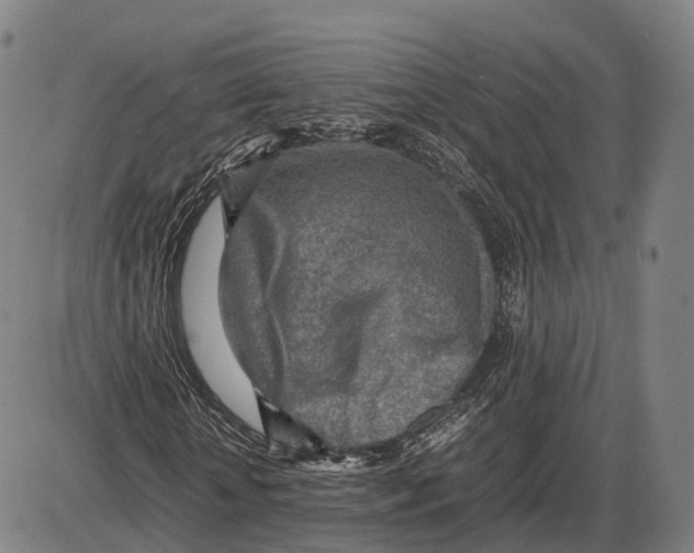 X0000085010818200703261152