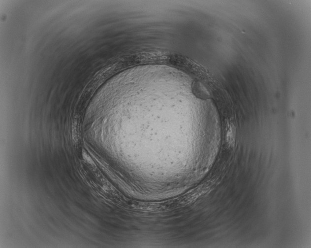 X0000085010819200703261152