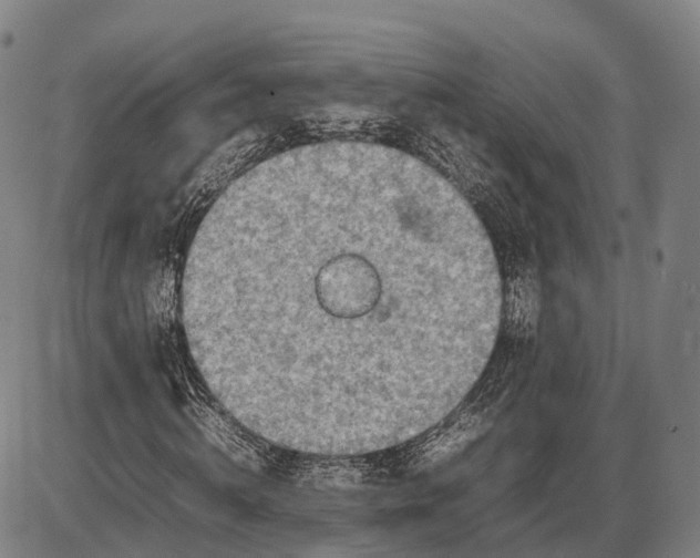 X0000085010820200703261152