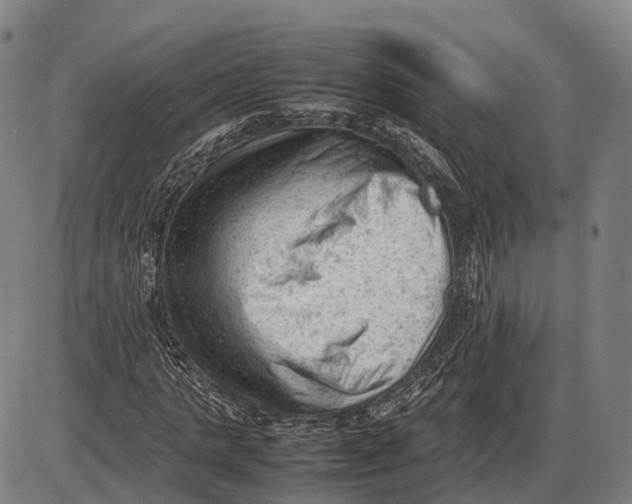 X0000085010821200703261152