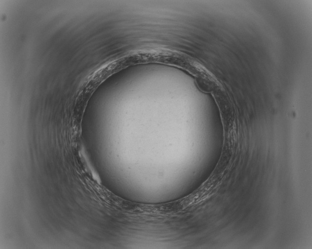 X0000085010822200703261152