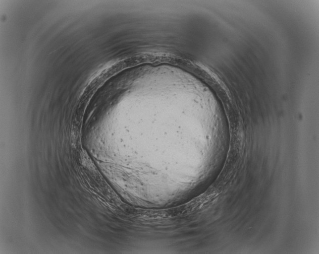 X0000085010823200703261152