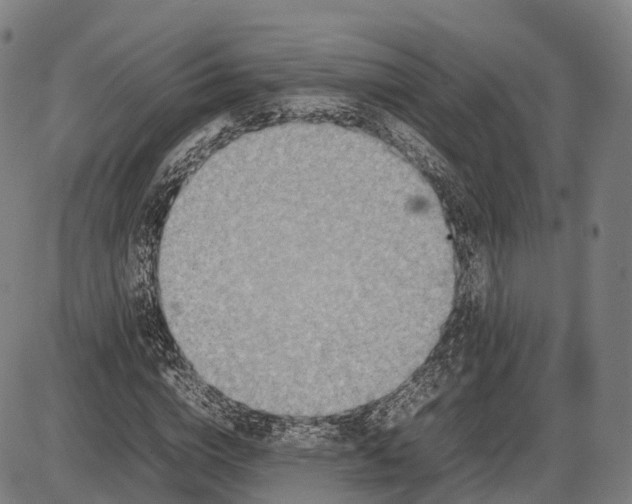 X0000085010824200703261152