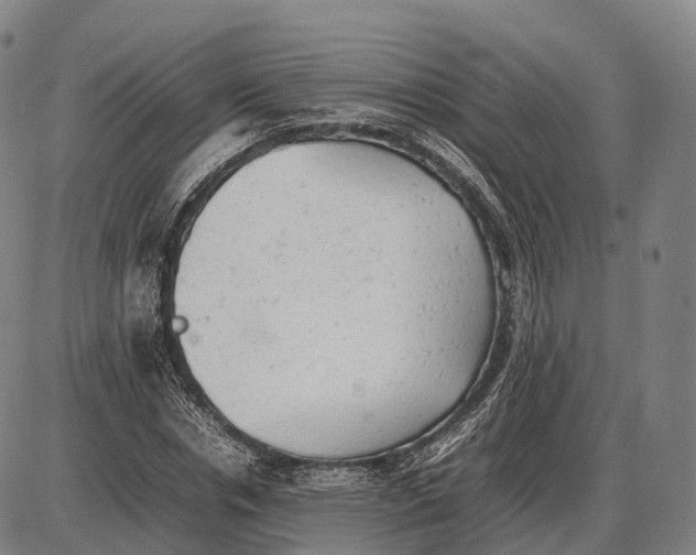 X0000085010826200703261152