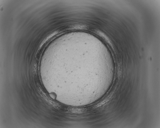 X0000085010827200703261152