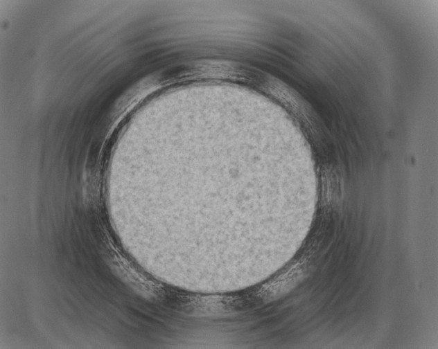 X0000085010828200703261152