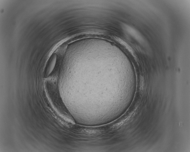 X0000085010829200703261152