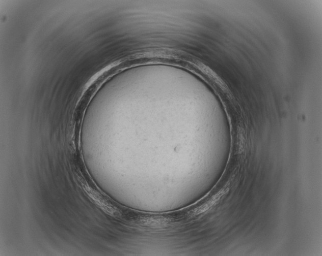 X0000085010830200703261152