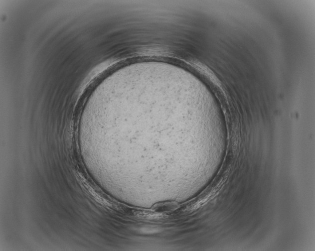 X0000085010831200703261152