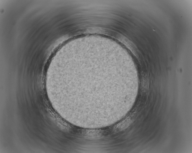 X0000085010832200703261152