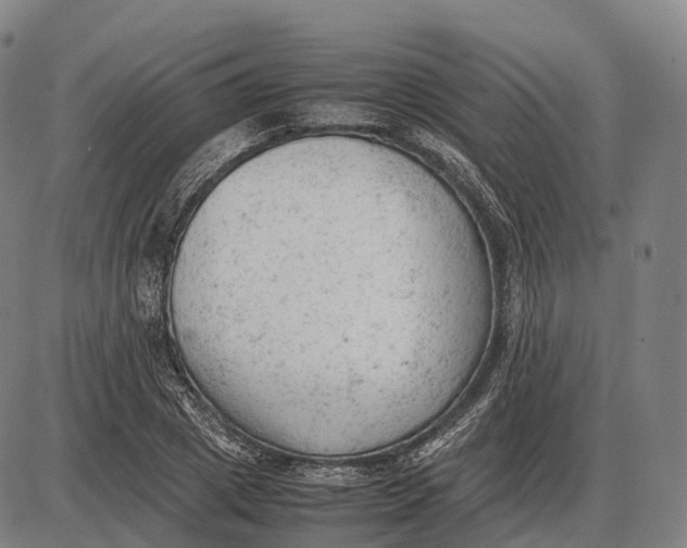 X0000085010833200703261152