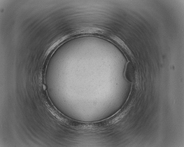 X0000085010834200703261152