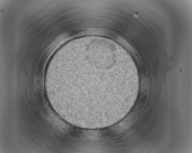 X0000085010836200703261152