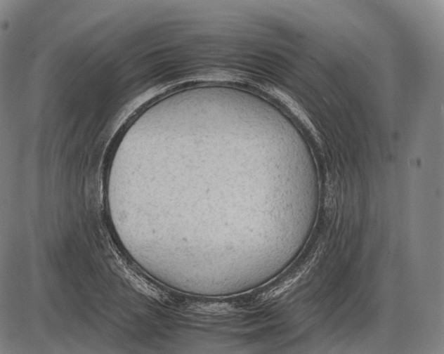 X0000085010837200703261152