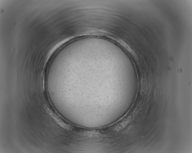 X0000085010838200703261152