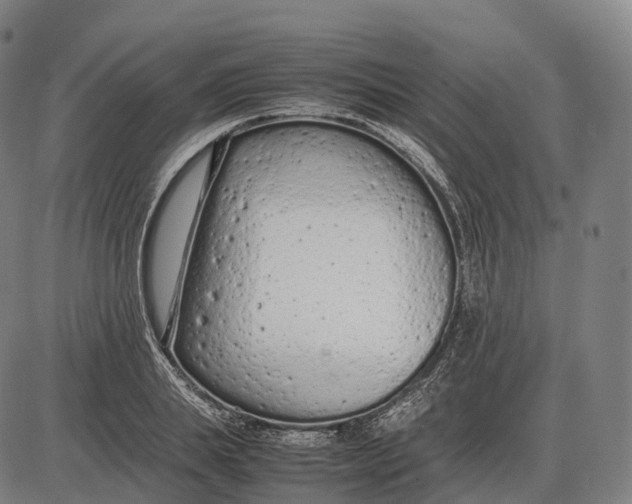 X0000085010839200703261152