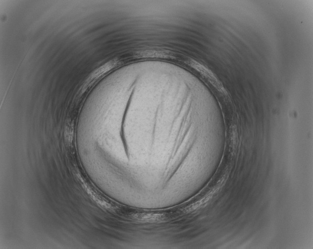 X0000085010841200703261152