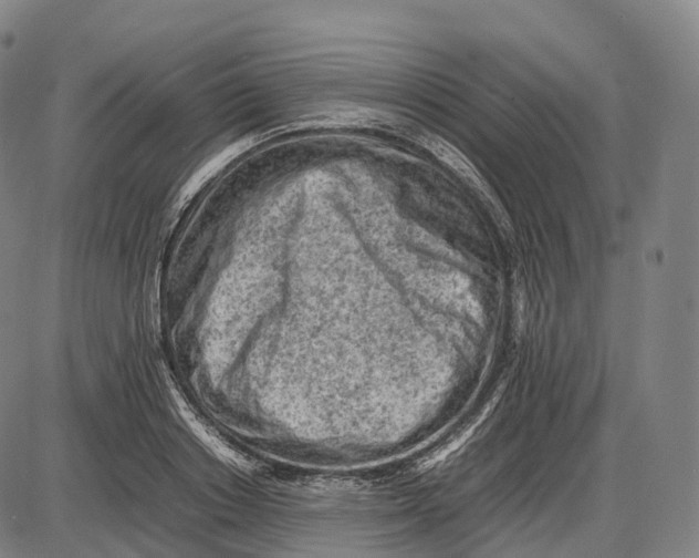 X0000085010842200703261153