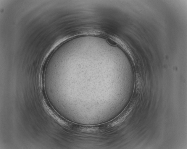 X0000085010843200703261153