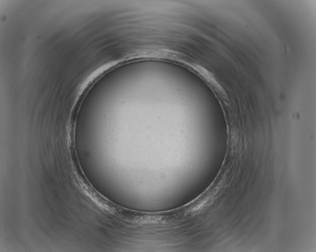 X0000085010846200703261153