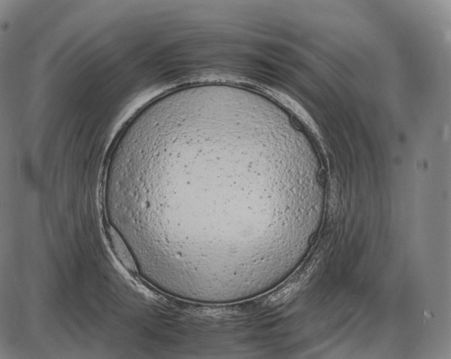 X0000085010847200703261153