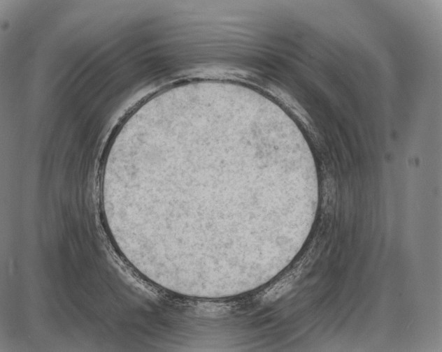 X0000085010848200703261153