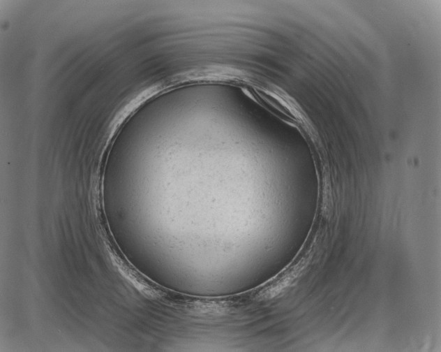 X0000085010850200703261153