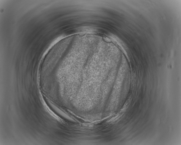 X0000085010851200703261153