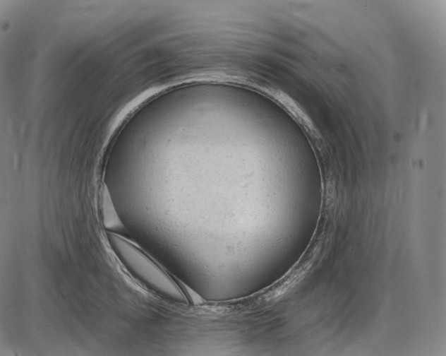 X0000085010854200703261153