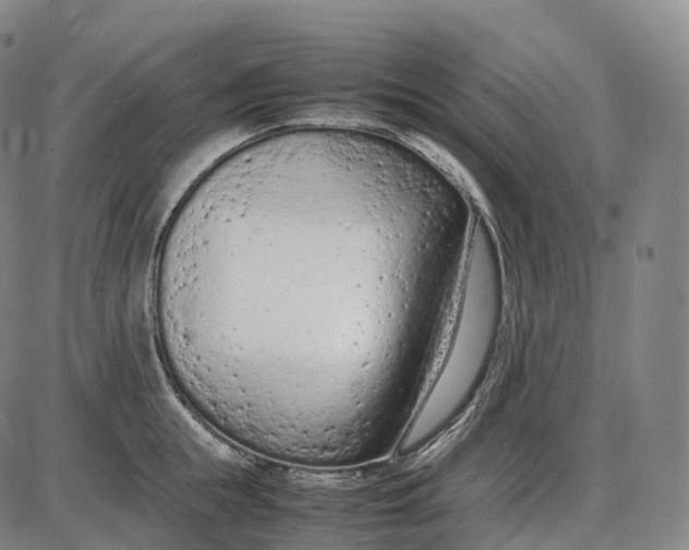 X0000085010855200703261153