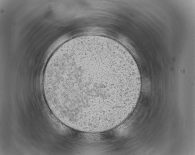 X0000085010856200703261153