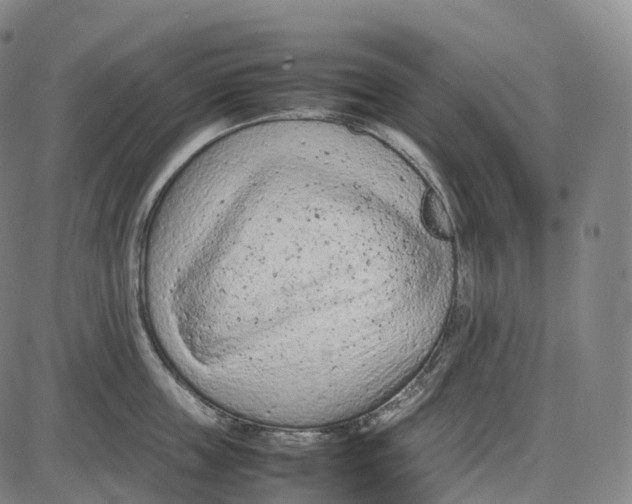 X0000085010859200703261153