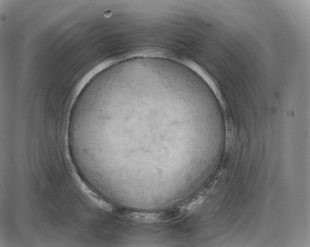 X0000085010861200703261153