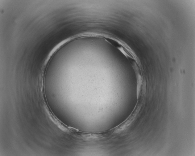 X0000085010862200703261153