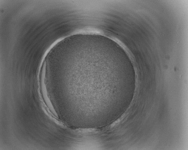 X0000085010864200703261153