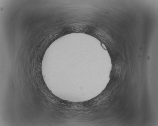 X0000085010865200703261152