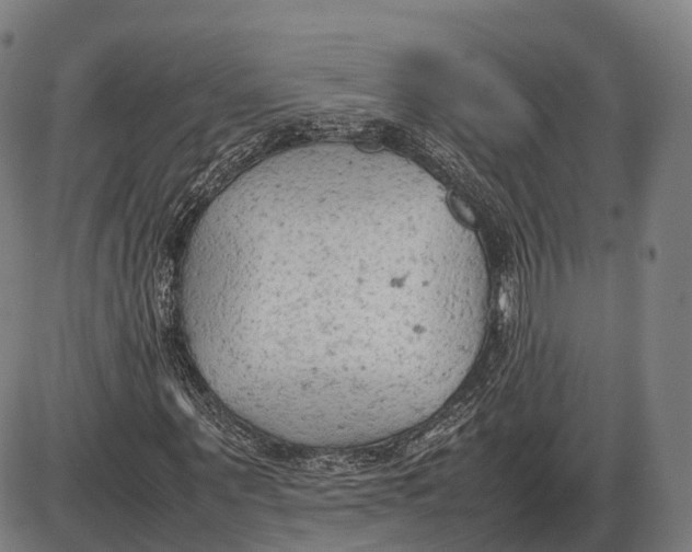 X0000085010867200703261152