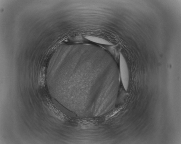 X0000085010868200703261152