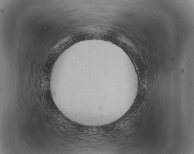 X0000085010869200703261152