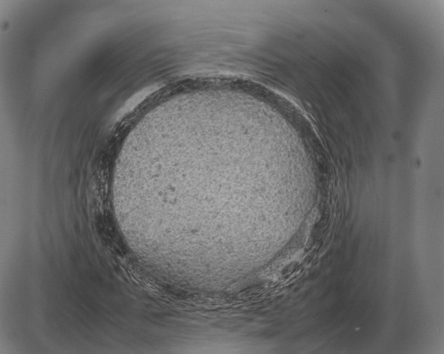 X0000085010871200703261152