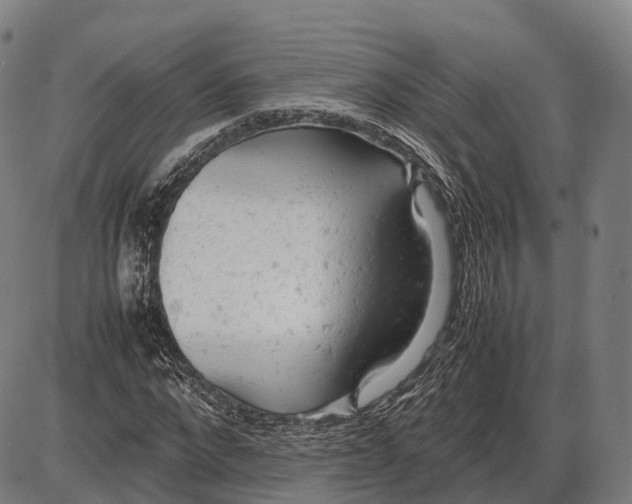 X0000085010872200703261152