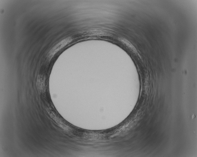 X0000085010873200703261152