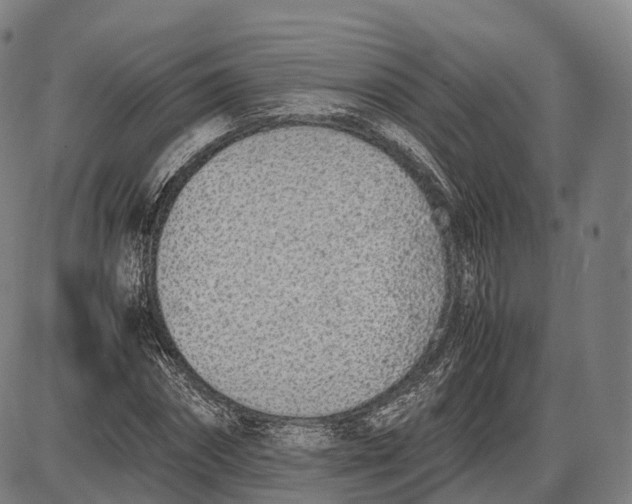 X0000085010874200703261152