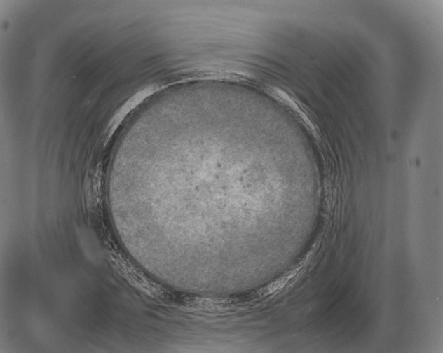 X0000085010875200703261152