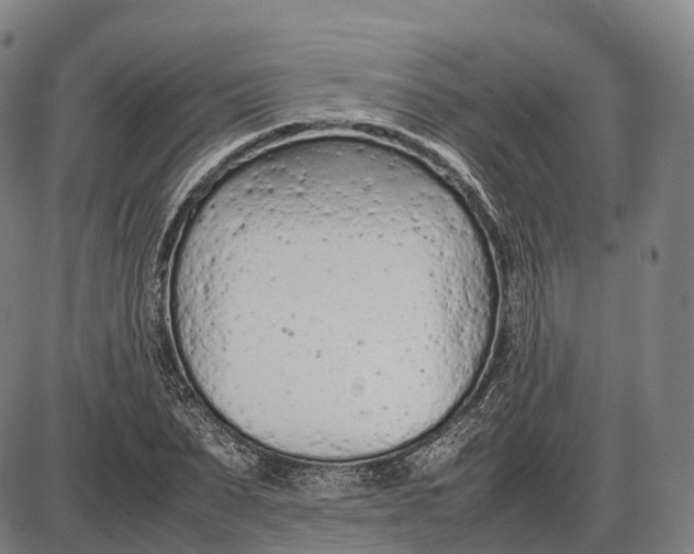 X0000085010879200703261152